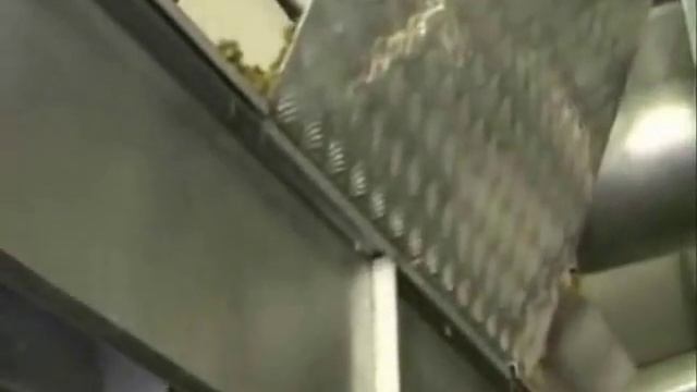 Переработка желудков и кишок на мясокомбинате