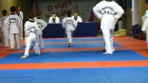 Тхеквондо защита желтого пояса