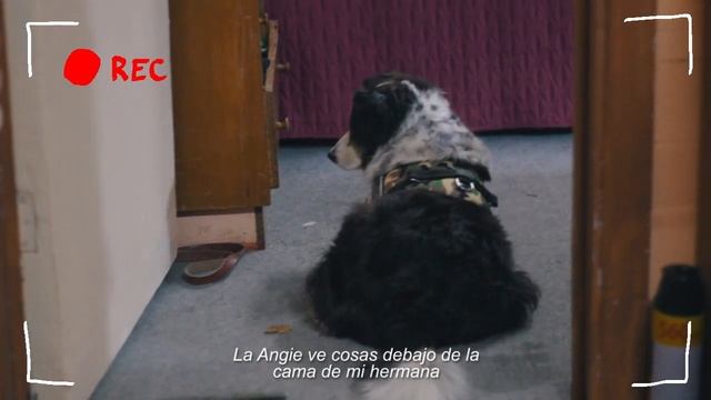 AMIGURUMI TOTORO | となりのトトロ | VLOG смотреть онлайн