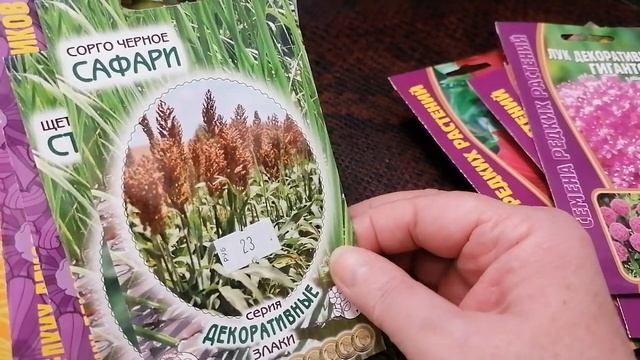 Редкие и интересные семена многолетних растений для сада. смотреть онлайн