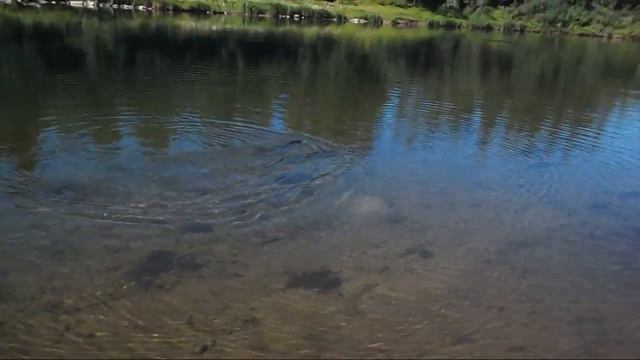 [РВ] Ловля щуки на полярном Урале смотреть онлайн