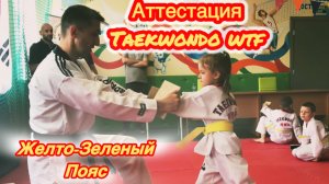 Аттестация на желто-зеленый пояс Taekwondo wtf