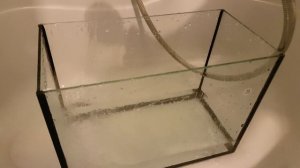 КАК И ЧЕМ БЫСТРО И ПРОСТО ОЧИСТИТЬ БЕЛЫЙ НАЛЕТ В АКВАТЕРРАРИУМЕ И АКВАРИУМЕ