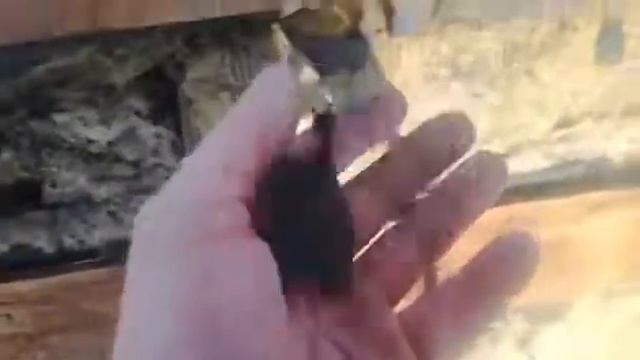 Ремонт кровли из металлочерепицы  домодедово часть 2 смотреть онлайн