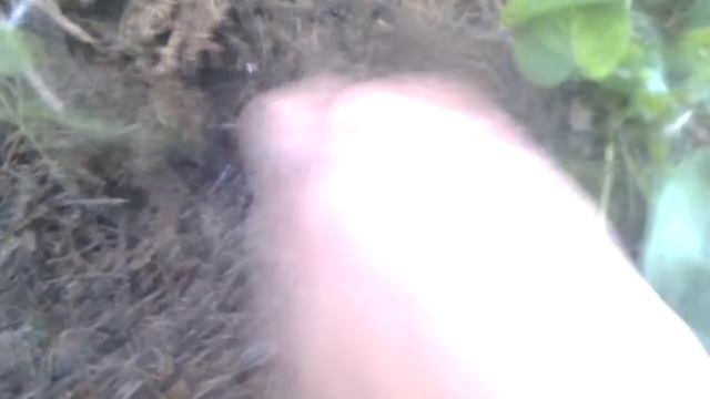 Запуск прокачанного крота смотреть онлайн