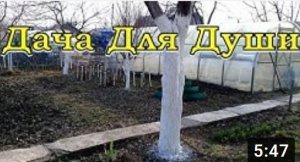 ВСЕ о ПОБЕЛКЕ деревьев: чем, когда, зачем????
