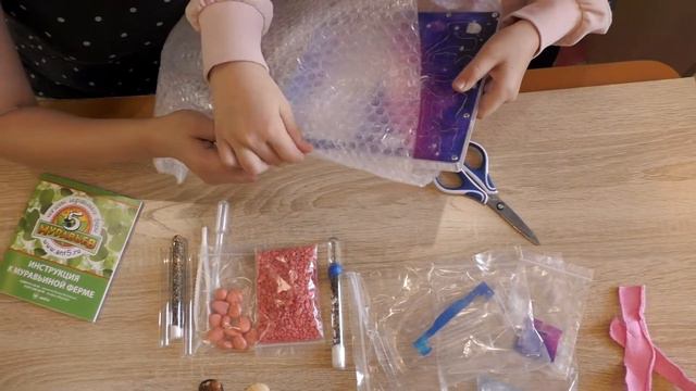 Муравьиная ферма. Видео как собрать муравьиную ферму.