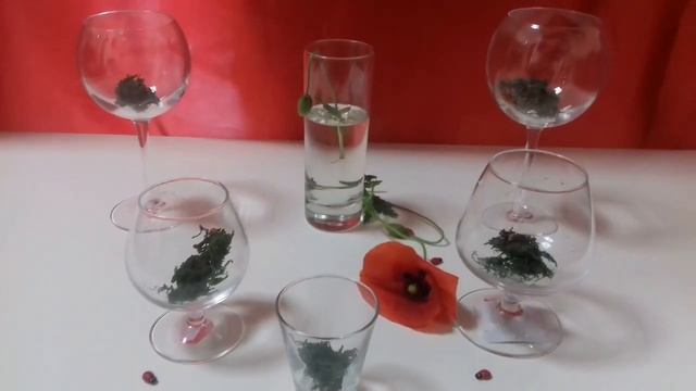 Стеклянная посуда ТМ ARCOROC - стильный сдержанный французский дизайн смотреть онлайн