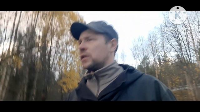 Терский берег.Дорога в устье варзуги.Дикие лошади. Белое море. смотреть онлайн