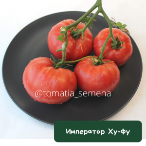 Император Ху - Фу