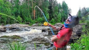 В ЯМЕ ОПЯТЬ ТОННА РЫБЫ! ЗАЦЕПЫ ОЖИВАЮТ! Рыбалка на горной реке у водопада ч.1