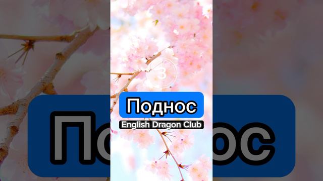 ☕️ Слова о ресторане на английском языке #английский #английскийязык #шортс #английскиеслова