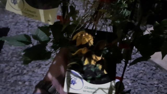 Видеообзор посылки из интернет-магазина 