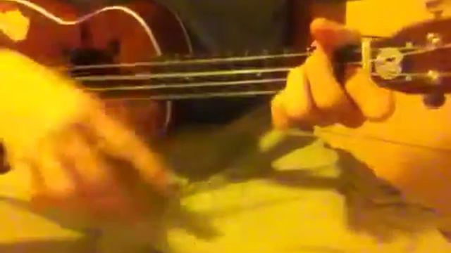 El cascabel solo (ukulele) смотреть онлайн