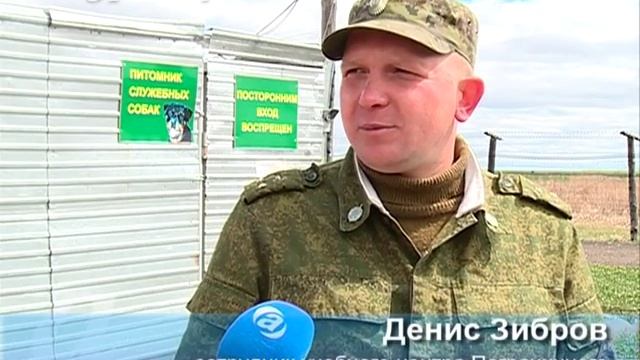 Амурские пограничники наградили лучшую служебную собаку смотреть онлайн