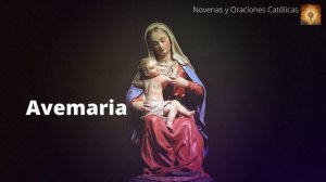 Rosario Corto Natividad de la Virgen Maria 8 de Agosto Misterios Gozososos #santo #santorosario