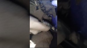 даф 105 не едет