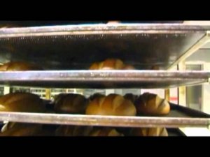 "Муссон-ротор модель 350"