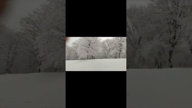 Убежать#суета#жизнь#Грозный#жиза