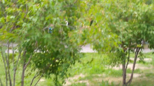 Детский парк имени В.В. Терешковой. Челябинск июль 2023 г. смотреть онлайн