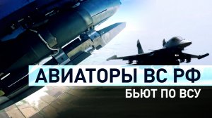 Экипажи Су-34 нанесли удары по подразделениям ВСУ — видео