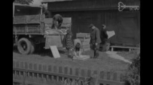 Работа в КОЛХОЗЕ. 1961 год. Советская Литва. Gorainiai. Архив.