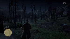 Red Dead Online: Карта сокровищ Лес Блэк-Боун за 15 уровень игрока