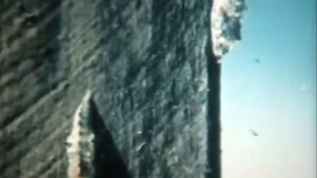 ОТРЯД ЧЕШУЕКРЫЛЫЕ