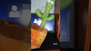 Танцующий говорящий кактус повторюшка игрушка обзор