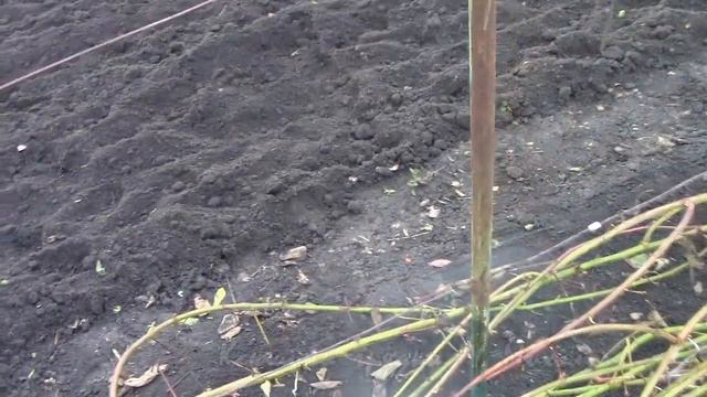 ВЕСНА . Весенние обработки сада (часть 2 ) смотреть онлайн