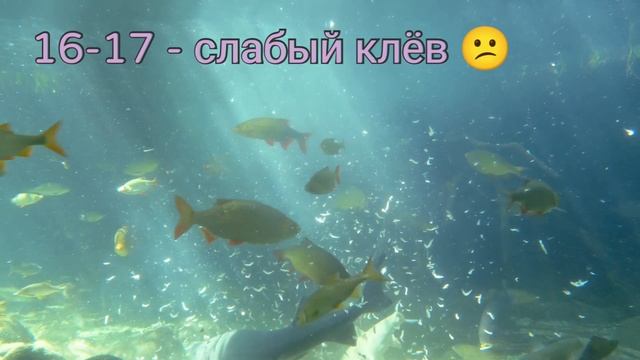 Календарь Рыбака на Апрель 2023г.  Календарь клëва мирной рыбы ?