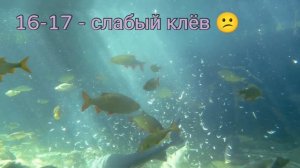 Календарь Рыбака на Апрель 2023г. Календарь клëва мирной рыбы ?
