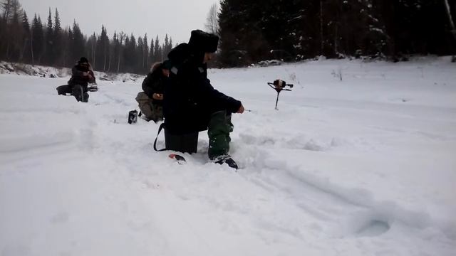 Мужики ловили рыбу. р.Нэпа