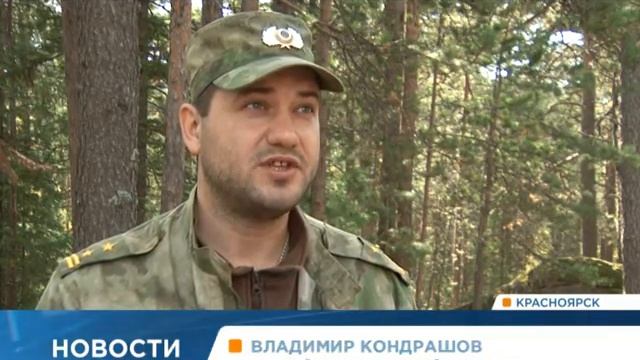 Cосна национального значения. Заповедник "Столбы"