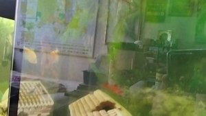 Показываю как рак плавает задом наперед 🤓