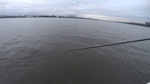 СУПЕР КЛЕВ после дождя