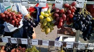 Ярмарка-выставка винограда в Липецке!