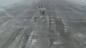 Сайгак