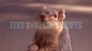 Slinky Троллит Internet Explorer - Slinky.me