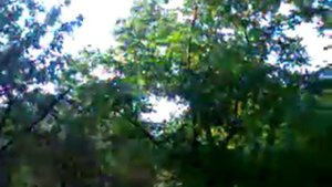 Это моя дача или выключатель солнца!!!!!!