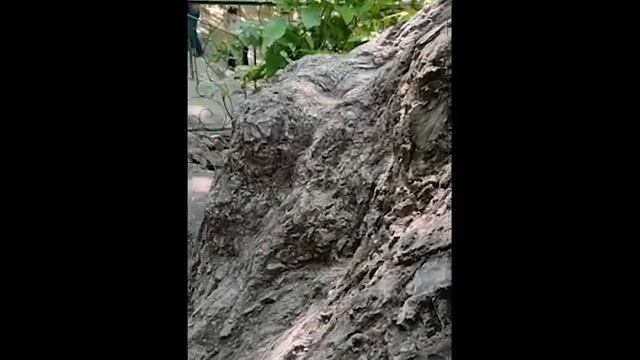 моя поездка в Замин, Джизакская область, Свой Среди Своих(коротко)