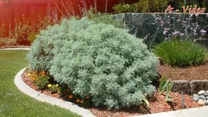 ?Ландшафтный дизайн садового участка Лучшие примеры / Best Garden Decorating Ideas / A - Video