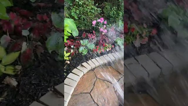 Watering my plants смотреть онлайн