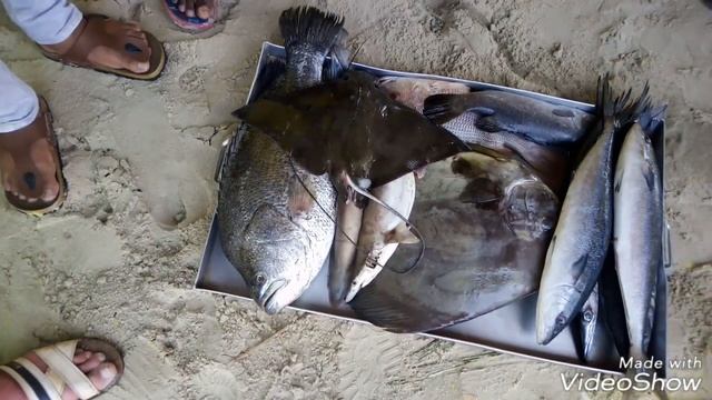 Индия, Южный ГОА, Маджорда, кафе У МАШИ, морепродукты ЦЕНЫ смотреть онлайн