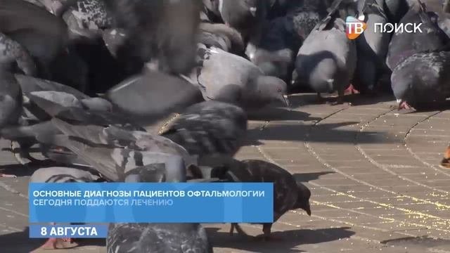 Офтальмолог