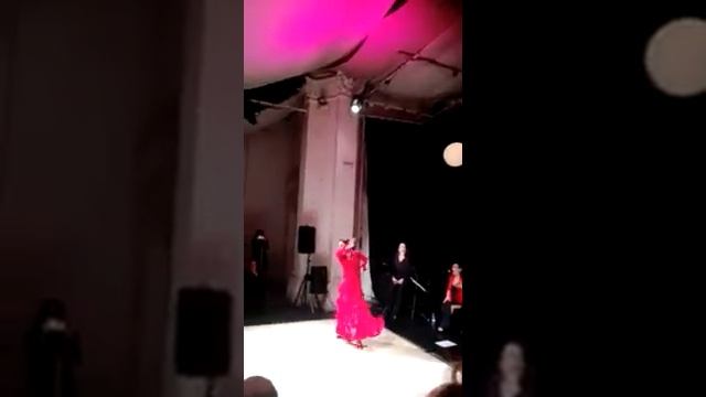 Elisa Diaz Flamenco: Cantiñas Salone Off del Libro di Torino смотреть онлайн
