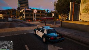 Grand Theft Auto V (LSPDFR)_Testing