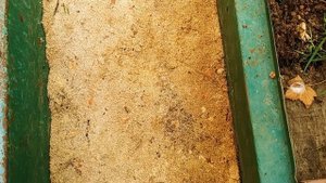 Обустройство дорожек в теплице