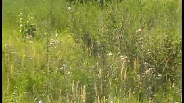 06   Шайтан труба и резиновая механа смотреть онлайн