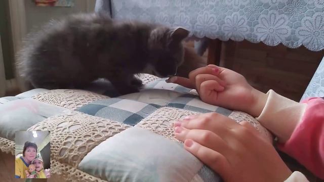 На севере началось лето/Поздравление с днём защиты детей.